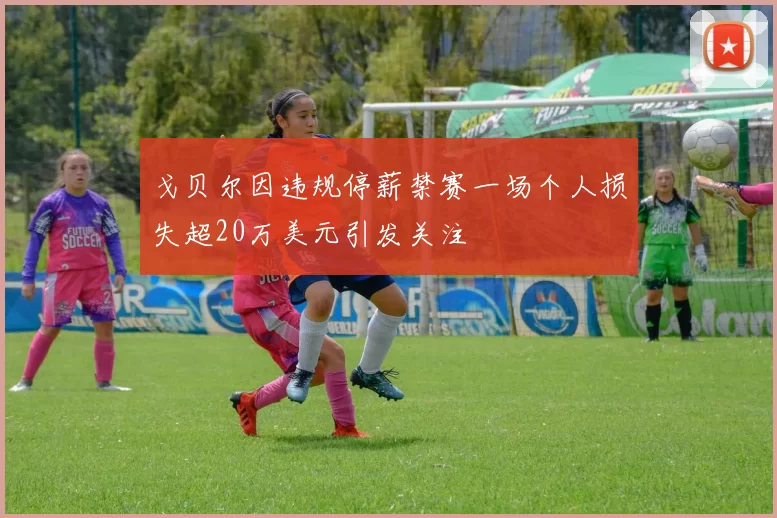 戈贝尔因违规停薪禁赛一场个人损失超20万美元引发关注