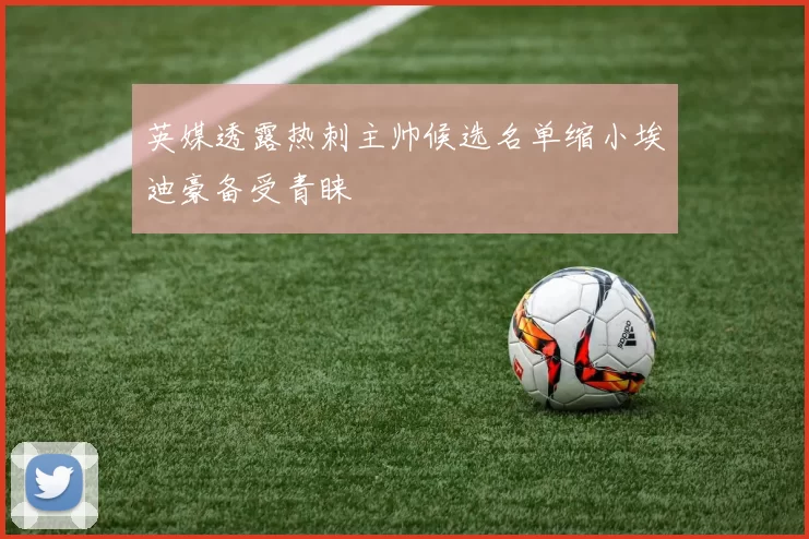 英媒透露热刺主帅候选名单缩小埃迪豪备受青睐